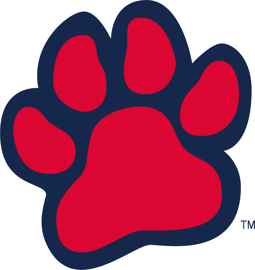 Fresno State Bulldogs 2016-2020 Alternate Logo diy iron on heat transfer